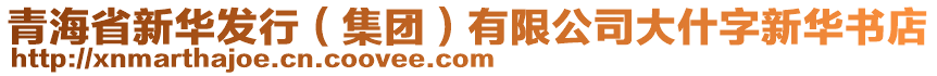 青海省新華發(fā)行（集團(tuán)）有限公司大什字新華書店