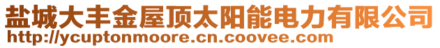 鹽城大豐金屋頂太陽(yáng)能電力有限公司