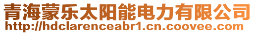 青海蒙樂(lè)太陽(yáng)能電力有限公司