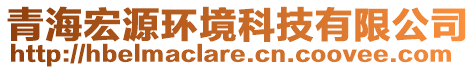 青海宏源環境科技有限公司
