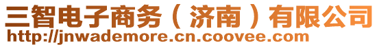 三智電子商務(wù)(濟(jì)南)有限公司