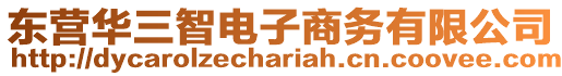 東營華三智電子商務(wù)有限公司