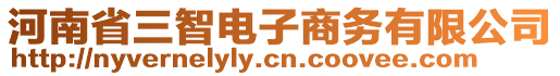 河南省三智電子商務有限公司