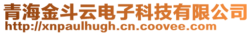 青海金斗云電子科技有限公司