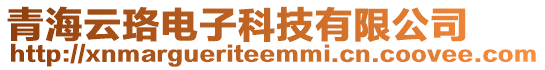 青海云珞電子科技有限公司