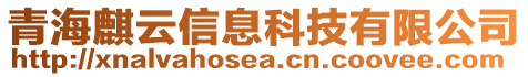 青海麒云信息科技有限公司