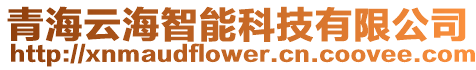 青海云海智能科技有限公司