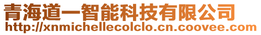 青海道一智能科技有限公司