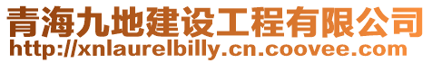 青海九地建設工程有限公司