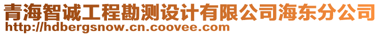 青海智誠工程勘測設計有限公司海東分公司