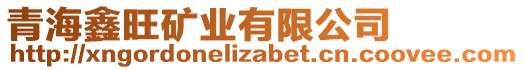 青海鑫旺礦業(yè)有限公司