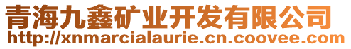 青海九鑫礦業(yè)開發(fā)有限公司