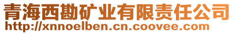 青海西勘礦業(yè)有限責(zé)任公司