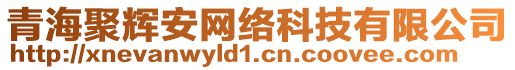 青海聚輝安網(wǎng)絡(luò)科技有限公司