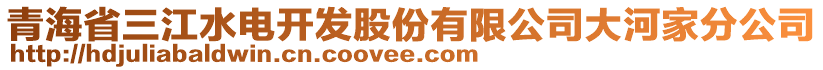 青海省三江水電開發(fā)股份有限公司大河家分公司