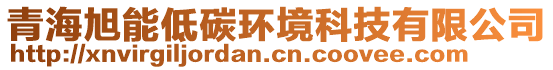 青海旭能低碳環(huán)境科技有限公司