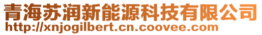 青海蘇潤新能源科技有限公司