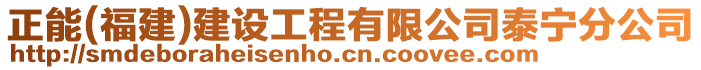 正能(福建)建设工程有限公司泰宁分公司