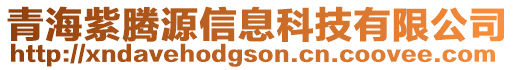 青海紫騰源信息科技有限公司