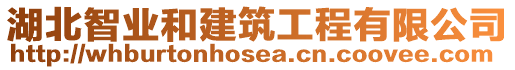 湖北智業(yè)和建筑工程有限公司