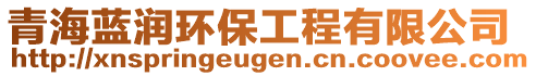 青海藍(lán)潤環(huán)保工程有限公司