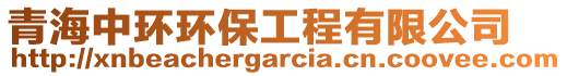 青海中環(huán)環(huán)保工程有限公司