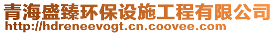 青海盛臻環(huán)保設施工程有限公司