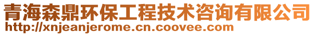 青海森鼎環(huán)保工程技術(shù)咨詢(xún)有限公司