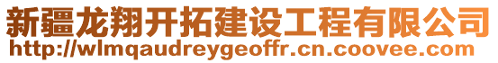 新疆龍翔開(kāi)拓建設(shè)工程有限公司