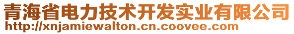 青海省電力技術(shù)開發(fā)實(shí)業(yè)有限公司