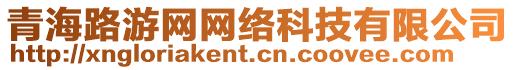 青海路游網(wǎng)網(wǎng)絡(luò)科技有限公司