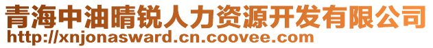 青海中油晴銳人力資源開發(fā)有限公司