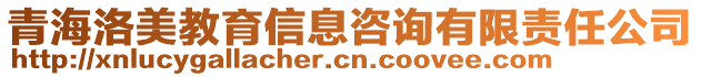 青海洛美教育信息咨詢有限責(zé)任公司