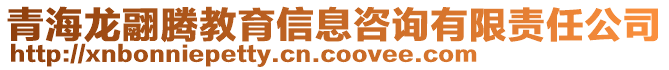 青海龍翮騰教育信息咨詢有限責任公司