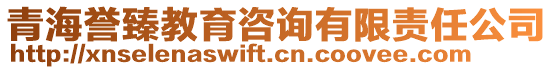 青海譽(yù)臻教育咨詢有限責(zé)任公司