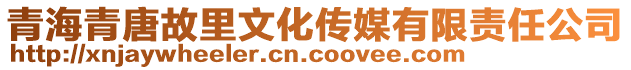 青海青唐故里文化傳媒有限責(zé)任公司