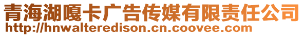 青海湖嘎卡廣告?zhèn)髅接邢挢?zé)任公司