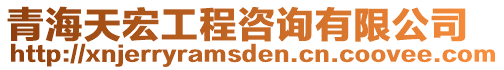 青海天宏工程咨詢有限公司