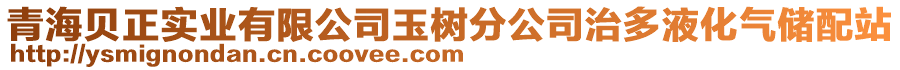 青海貝正實業(yè)有限公司玉樹分公司治多液化氣儲配站