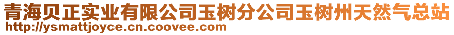 青海貝正實(shí)業(yè)有限公司玉樹(shù)分公司玉樹(shù)州天然氣總站