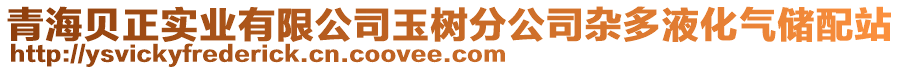 青海貝正實(shí)業(yè)有限公司玉樹(shù)分公司雜多液化氣儲(chǔ)配站