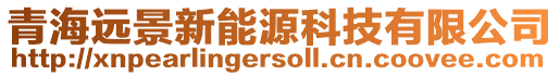 青海遠景新能源科技有限公司