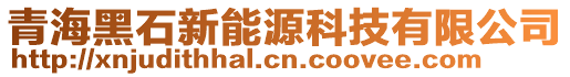 青海黑石新能源科技有限公司