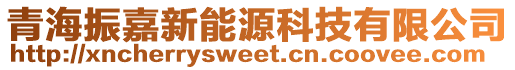 青海振嘉新能源科技有限公司