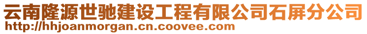 云南隆源世馳建設工程有限公司石屏分公司