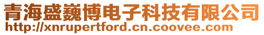 青海盛巍博電子科技有限公司