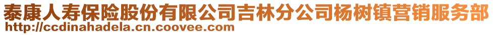 泰康人壽保險股份有限公司吉林分公司楊樹鎮(zhèn)營銷服務部