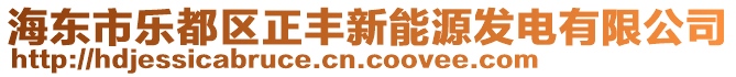 海東市樂都區(qū)正豐新能源發(fā)電有限公司