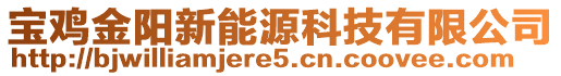 寶雞金陽新能源科技有限公司