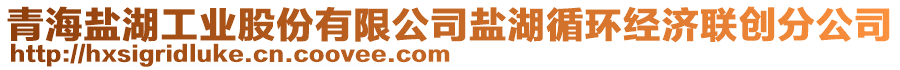 青海鹽湖工業(yè)股份有限公司鹽湖循環(huán)經(jīng)濟聯(lián)創(chuàng)分公司